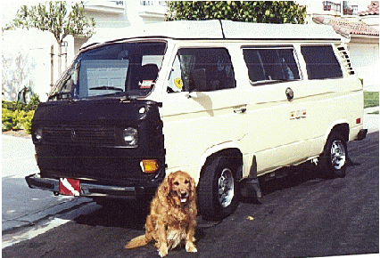 westfalia 1981